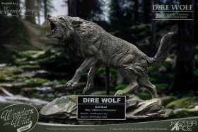 Dire Wolf Wonders of the Wild Series Statue by Star Ace Toys
