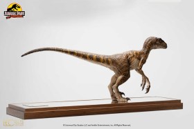 Velociraptor Clever Girl (With Acrylic Case) Jurassic Park 1/4 Statue by Elite Creature Collectibles