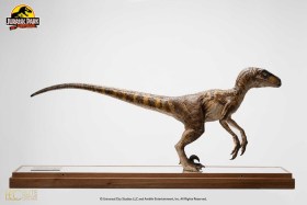 Velociraptor Clever Girl Jurassic Park 1/4 Statue by Elite Creature Collectibles