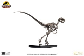 Raptor Skeleton Bronze Jurassic Park 1/4 Statue by Elite Creature Collectibles