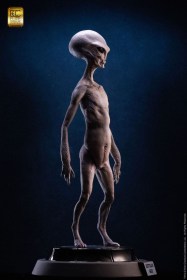Reptilian Grey (Steve Wang) Elite Creature Line Maquette by ECC