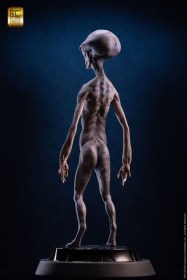 Reptilian Grey (Steve Wang) Elite Creature Line Maquette by ECC