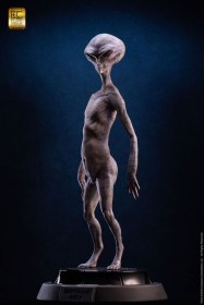 Reptilian Grey (Steve Wang) Elite Creature Line Maquette by ECC