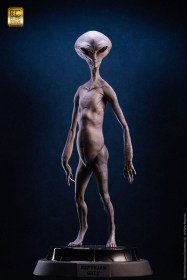 Reptilian Grey (Steve Wang) Elite Creature Line Maquette by ECC