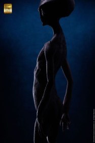 Reptilian Grey (Steve Wang) Elite Creature Line Maquette by ECC