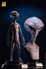 Reptilian Grey (Steve Wang) Elite Creature Line Maquette by ECC