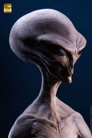 Reptilian Grey (Steve Wang) Elite Creature Line Maquette by ECC