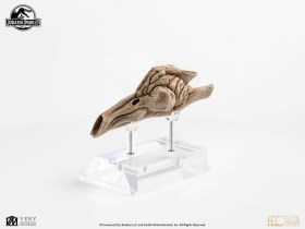 Velociraptor Resonance Chamber Jurassic Park III Prop 1/1 Replica by ECC
