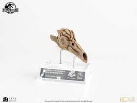 Velociraptor Resonance Chamber Jurassic Park III Prop 1/1 Replica by ECC