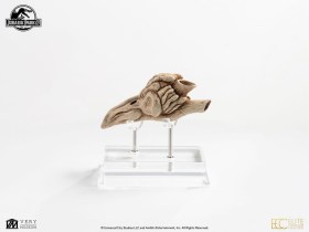 Velociraptor Resonance Chamber Jurassic Park III Prop 1/1 Replica by ECC