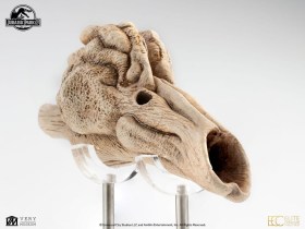 Velociraptor Resonance Chamber Jurassic Park III Prop 1/1 Replica by ECC