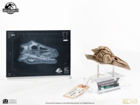 Velociraptor Resonance Chamber Jurassic Park III Prop 1/1 Replica by ECC