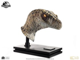 Female Velociraptor White Queen Jurassic Park III Bust by ECC