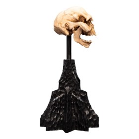 Skull of a Moria Orc Lord of the Rings Mini Statue by Weta Workshop