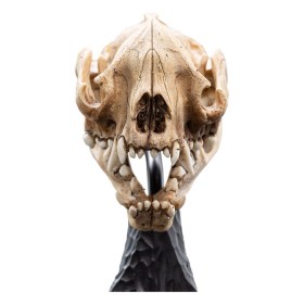Skull of a Warg Lord of the Rings Mini Statue by Weta Workshop