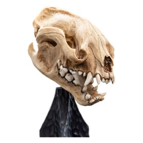 Skull of a Warg Lord of the Rings Mini Statue by Weta Workshop