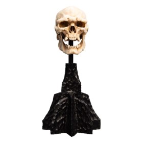 Skull of a Mordor Orc Lord of the Rings Mini Statue by Weta Workshop