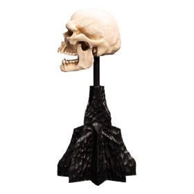 Skull of a Mordor Orc Lord of the Rings Mini Statue by Weta Workshop