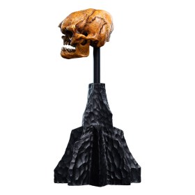 Skull of a Misty Mountain Goblin Lord of the Rings Mini Statue by Weta Workshop