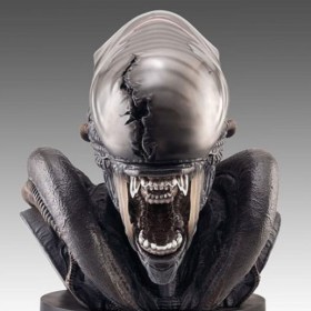 Xenomorph Alien Romulus 1/1 Bust by HCG