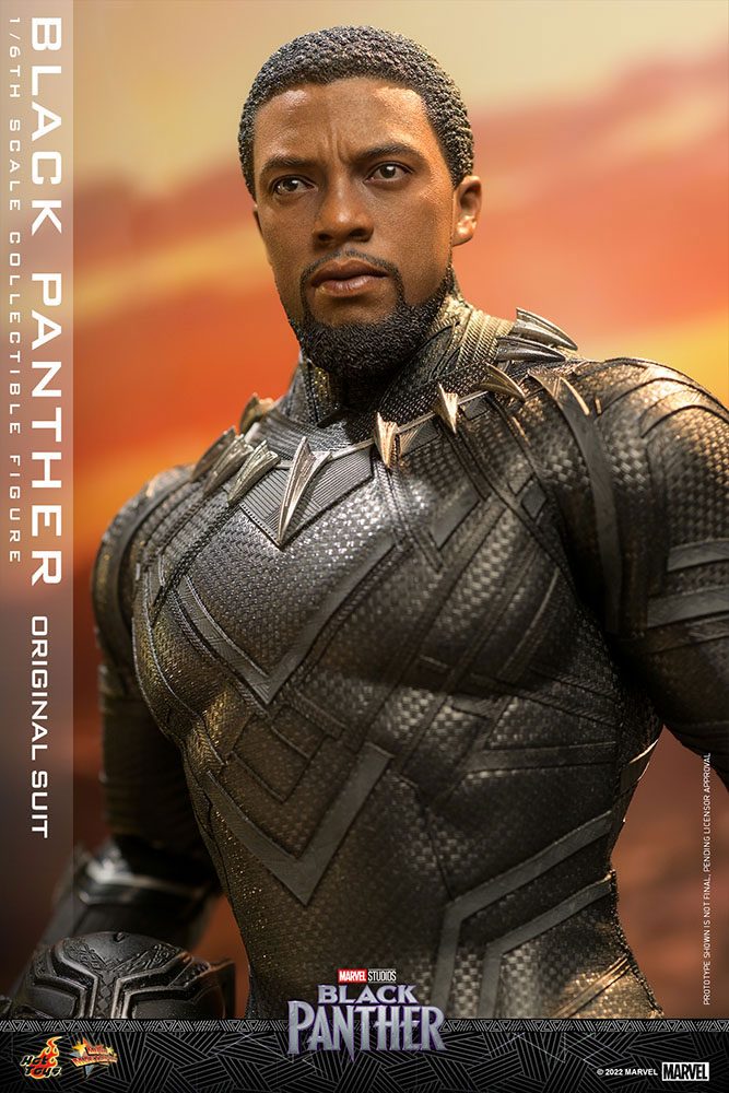 1/6 Sixth Scale Figure Black Panther (Original Suit) Black Panther